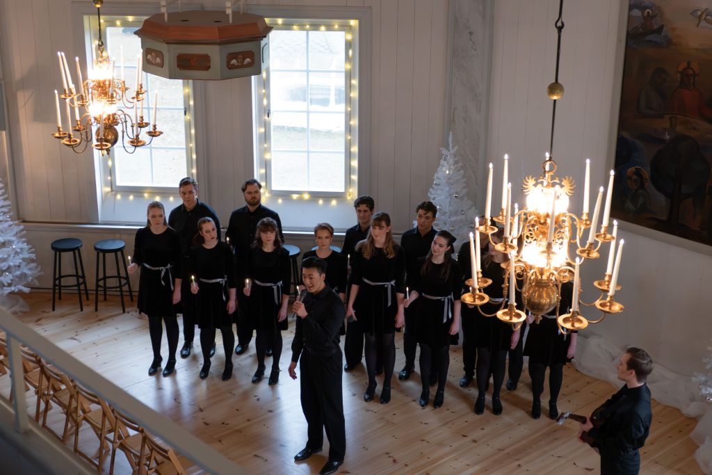 Bild från julkonsert. Hela gruppen står i två rader. En deltagare står framför och sjunger, en annan deltagare står på sidan med en gitarr.